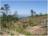 Lavamünd - Huhnerkogel/Košenjak